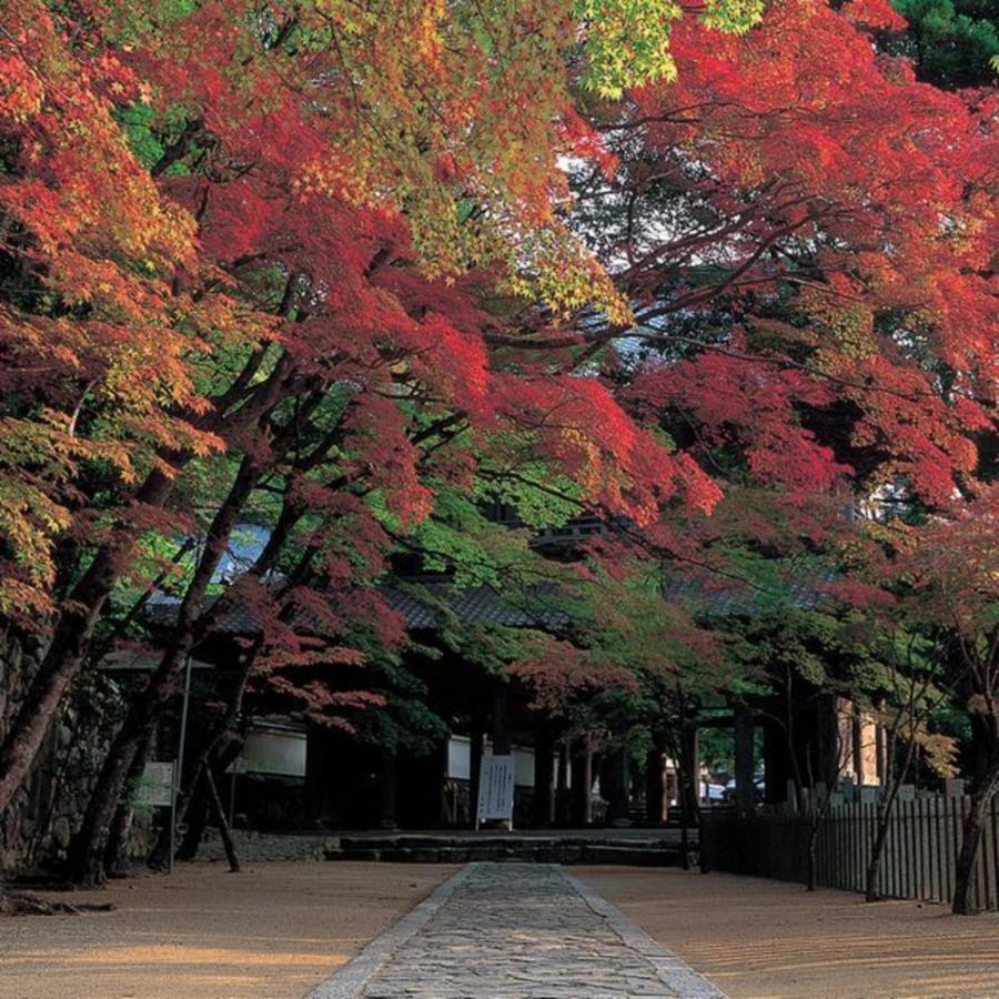 Kyukamura Ohmi-Hachiman أوميهاتشيمان المظهر الخارجي الصورة